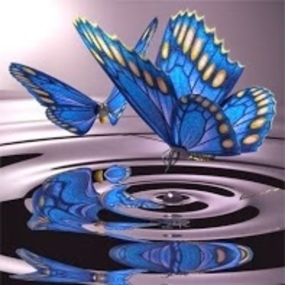 Meet your Posher, America - Picture 1 of 1